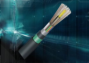 慈溪市三網(wǎng)通信設(shè)備廠 gyta6芯室外層絞光纜與燈具銷(xiāo)售動(dòng)態(tài)